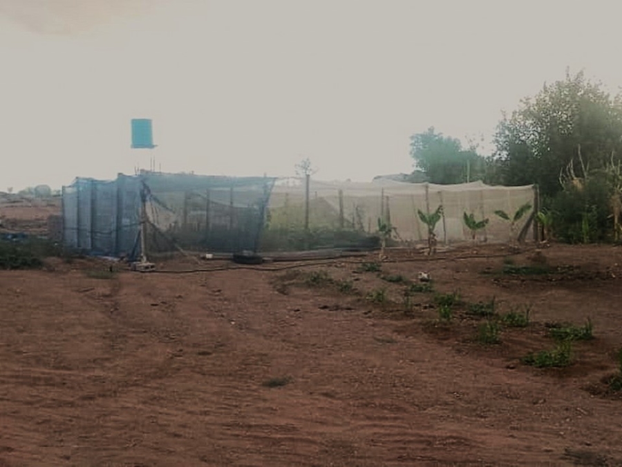 3 Bedroom Property for Sale in Augrabies Northern Cape